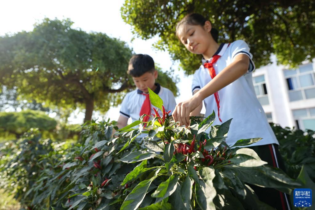 微乐斗地主电脑版官网在哪下载